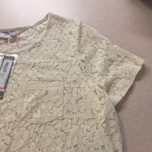 NWT JCPenny Lace Cream Blouse Plus Size 1X - Picture 4 of 5